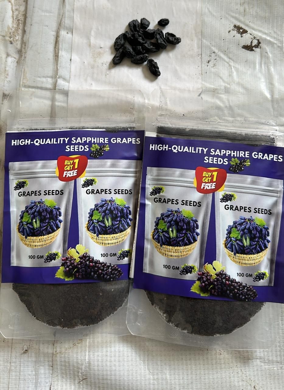 Sweet Sapphire Grapes Seed Pack of 20